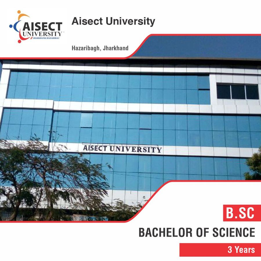 Aisect University